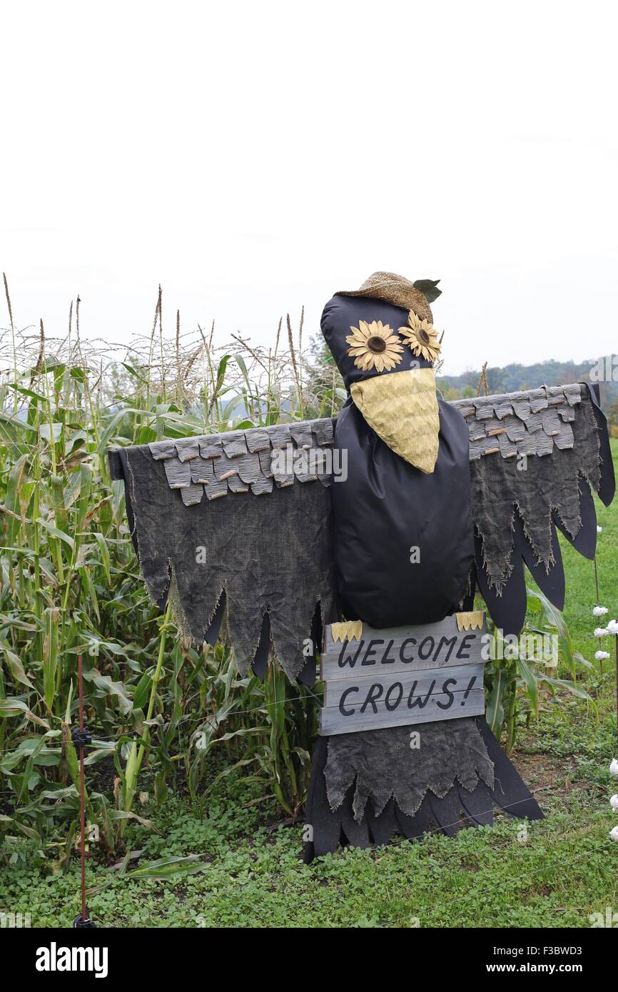 Eine Vogelscheuche In Der Form Einer Krahe Andere Krahen Begrussen Stockfotografie Alamy