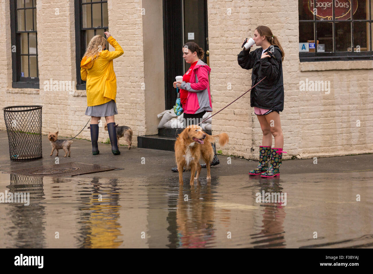 Charleston, South Carolina, USA. 4. Oktober 2015. Eine Gruppe von jungen  Frau versuchen, ihre Hunde zu gehen, als schwere Überschwemmungen für den  zweiten Tag in der Altstadt weiter als Hurrikan Joaquin Starkregen,