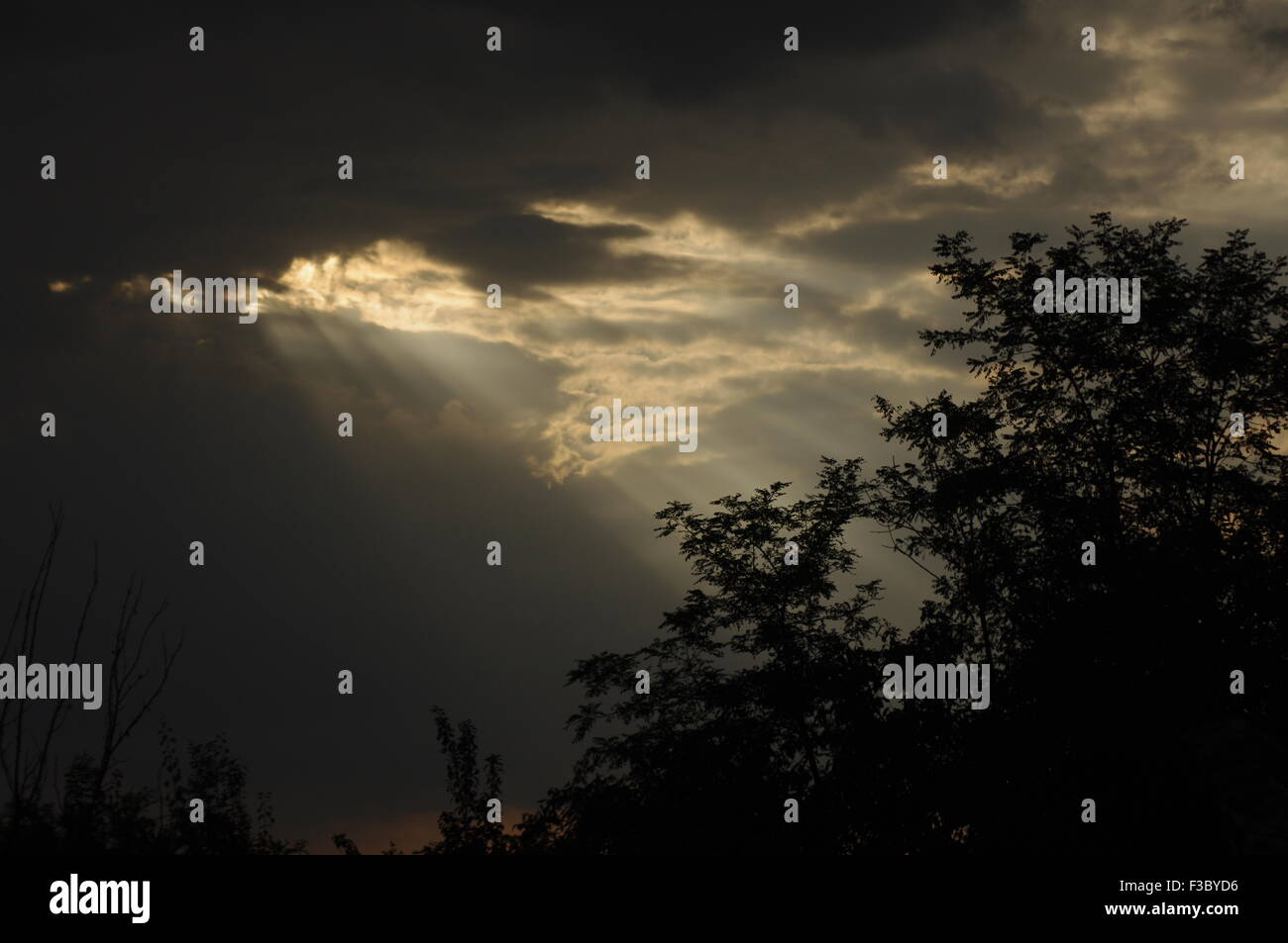 Sonne Strahlen passieren Trog stürmischen Wolken über den Baumkronen der Bäume Stockfoto
