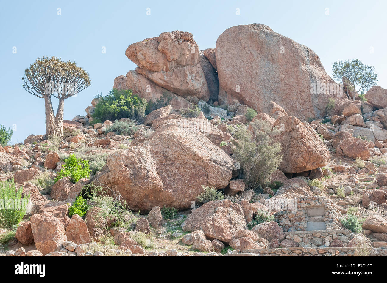 Kugelförmige Granit, eine seltene Tiefengestein im endständigen Hill in der Nähe von Concordia, eine Kleinstadt in der nördlichen Kap Namaquala Stockfoto