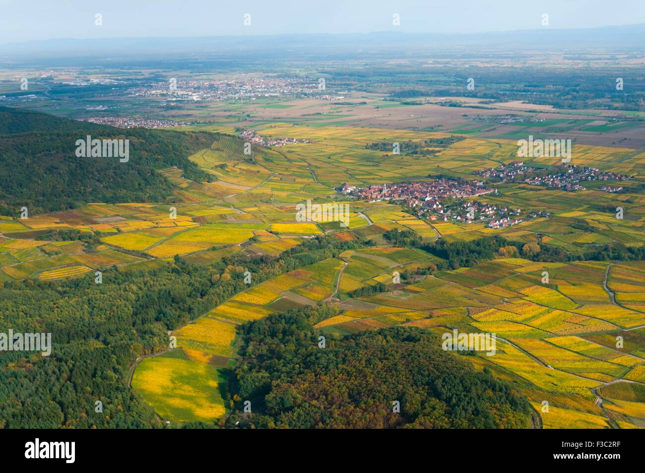 Frankreich, Haut Rhin (68), Weine Straße, Dorf von Saint Hyppolyte, Weinberge im Herbst (Luftbild) / / Haut Rhin (68), Strecken des Stockfoto