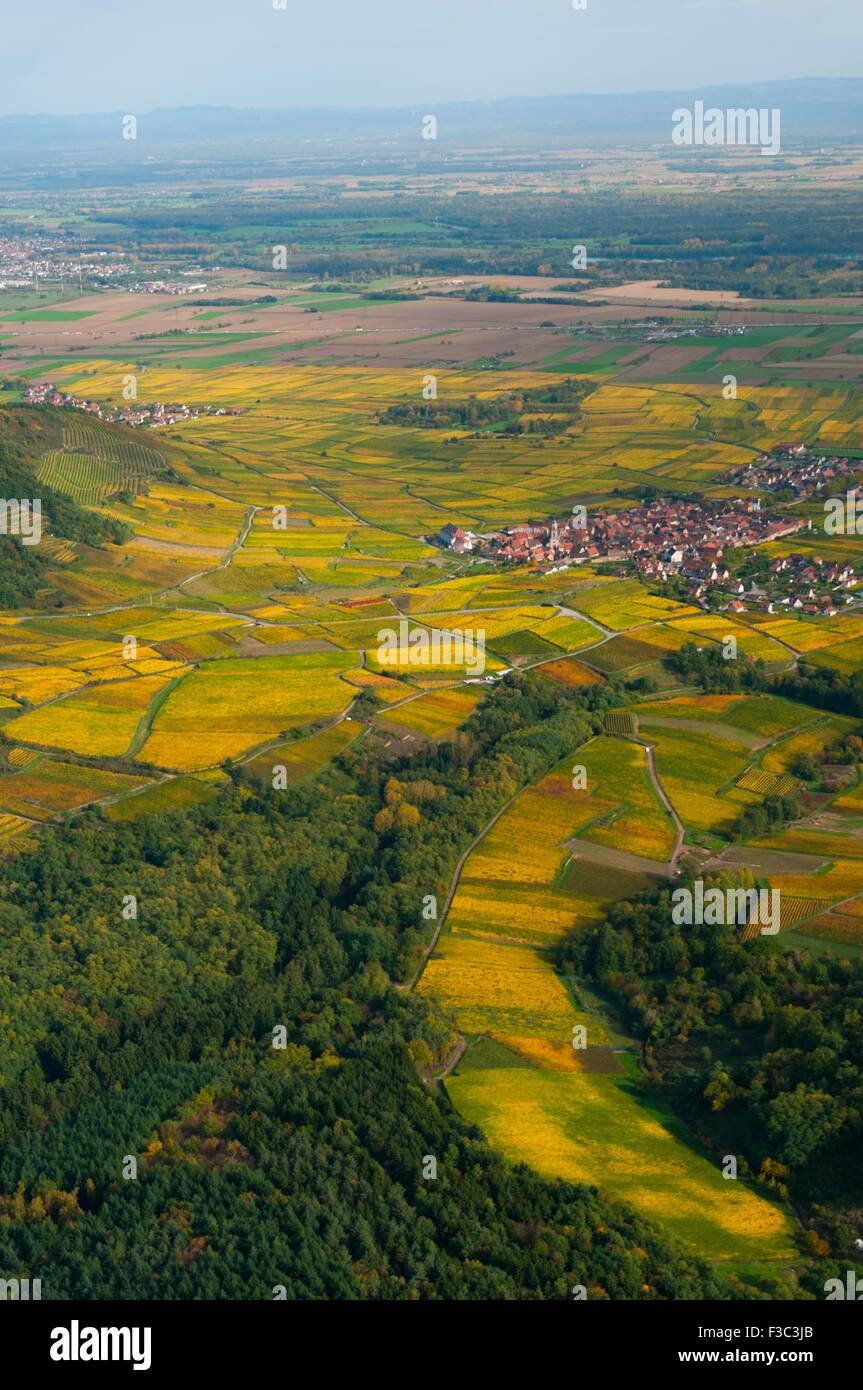 Frankreich, Haut Rhin (68), Weine Straße, Dorf von Saint Hyppolyte, Weinberge im Herbst (Luftbild) / / Haut Rhin (68), Strecken des Stockfoto
