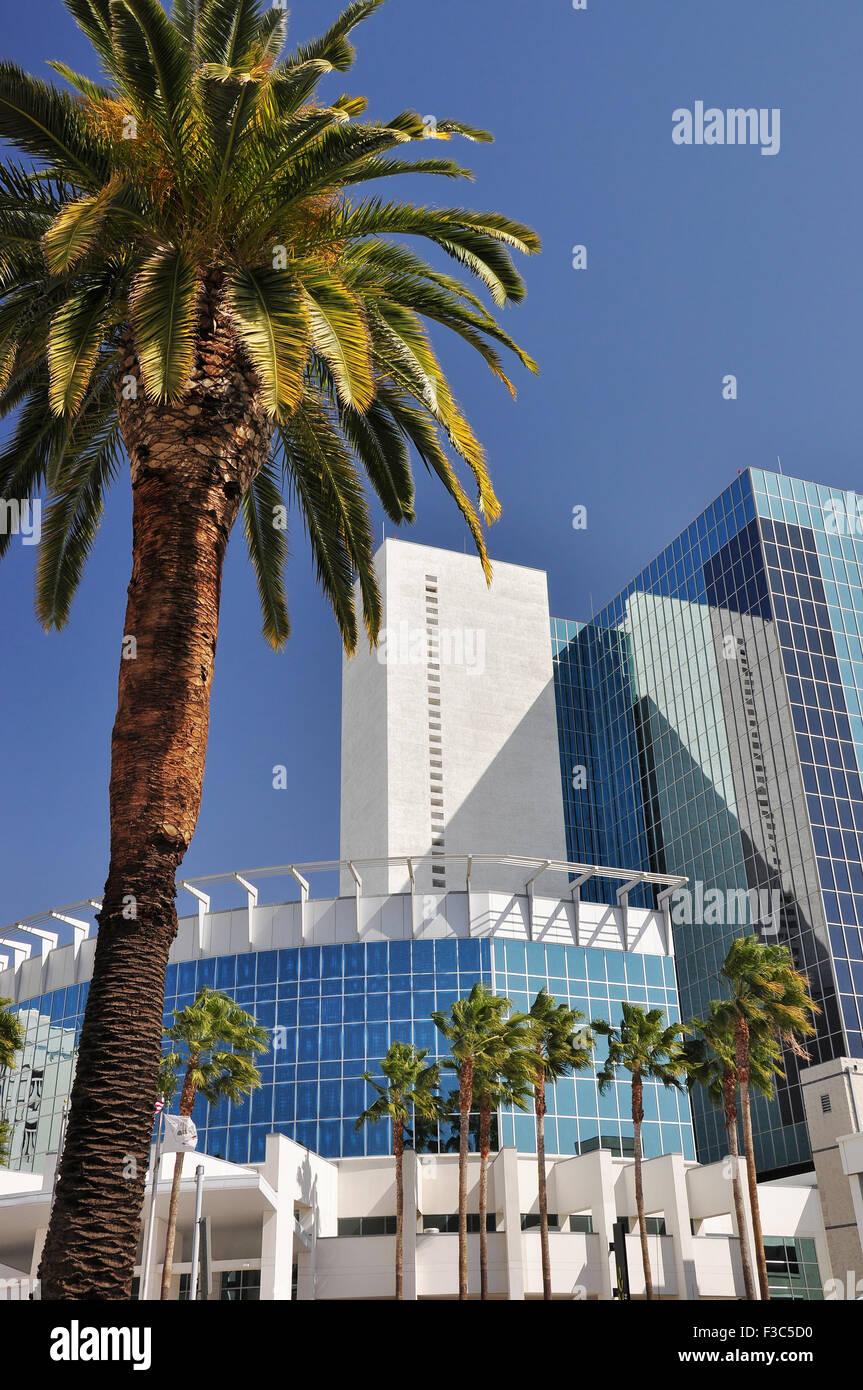 Palmen mischen mit Glas und Stahl Bürotürme in Riverside, Kalifornien. Stockfoto