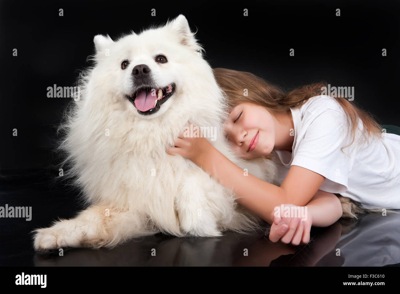Hund Tier Kind Mädchen kleine reinrassige Tiere weibliche Kindheit Freundschaft Person Farbe Glück spielen kaukasischen Nahaufnahme Stockfoto
