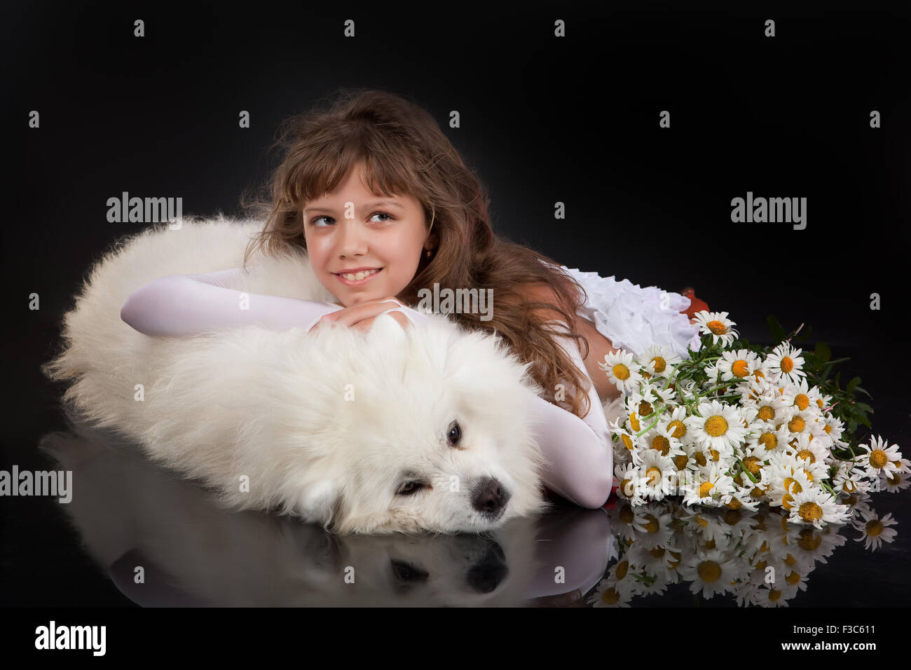 Hund Tier Kind Mädchen kleine reinrassige Tiere weibliche Kindheit Freundschaft Person Farbe Glück spielen kaukasischen Nahaufnahme Stockfoto