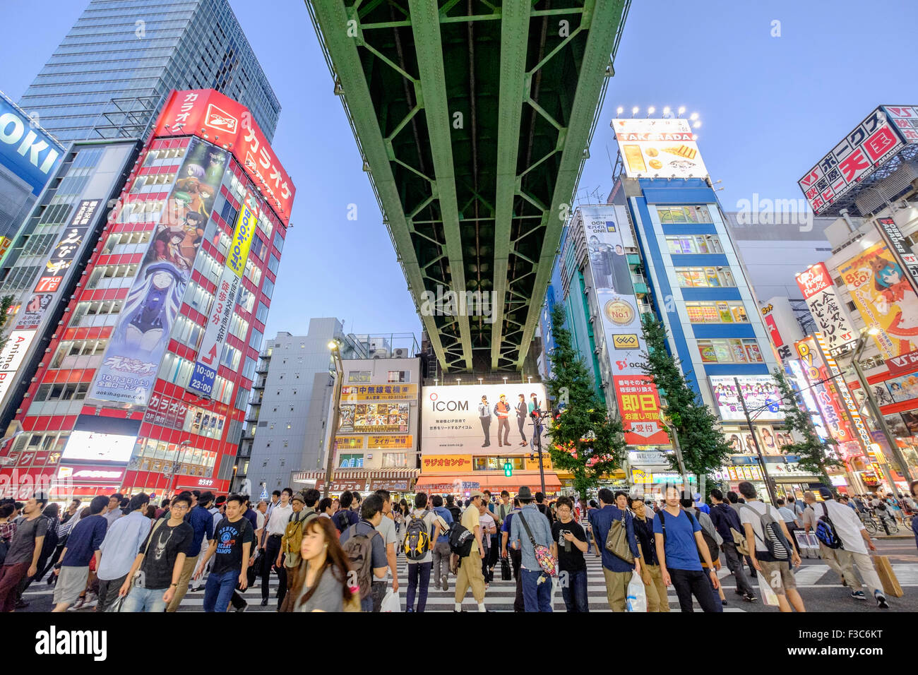 Beschäftigt Fußgängerüberweg in Akihabara, bekannt als Electric Town oder Geek Stadt Verkauf Manga Spiele und Videos in Tokio Japan Stockfoto