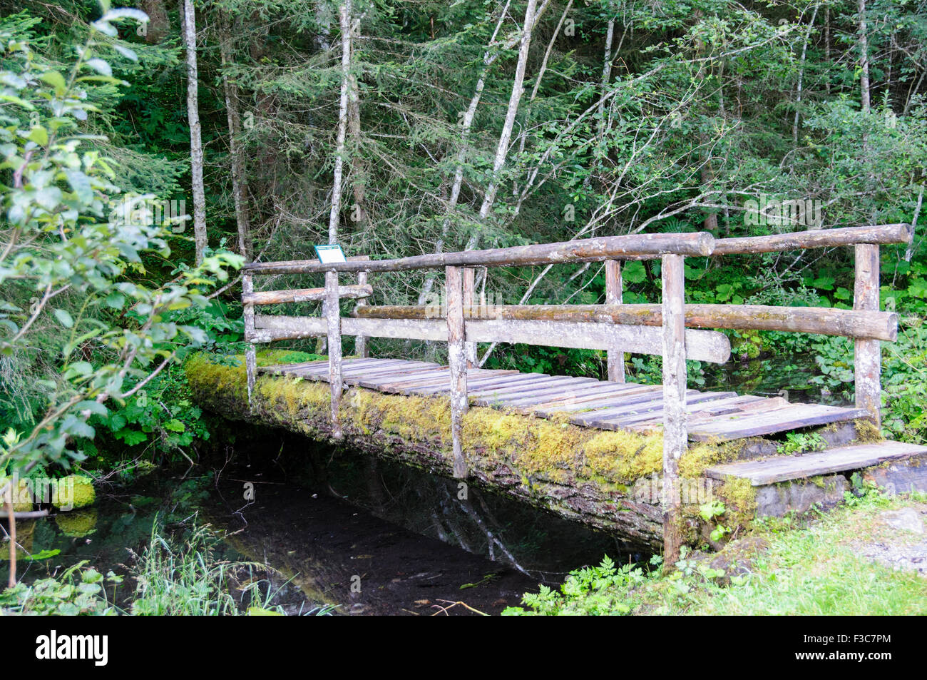 Holzbrücke in einem üppigen Wald. Fotografiert in Tirol Österreich. Stockfoto