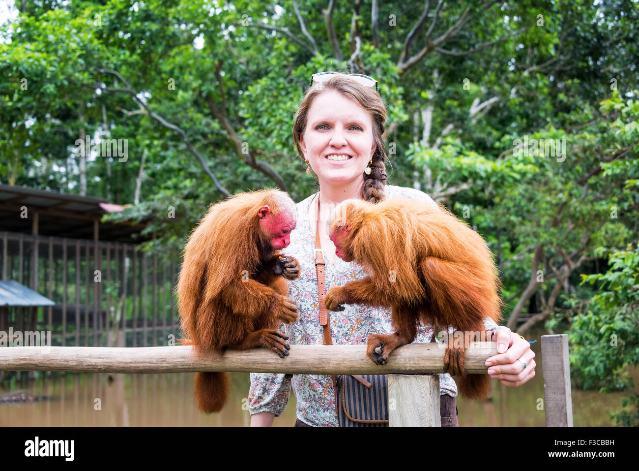 Tourist-Frau im Amazonas mit zwei glatzköpfigen Uakari Affen, in der Nähe von Iquitos, Peru Stockfoto