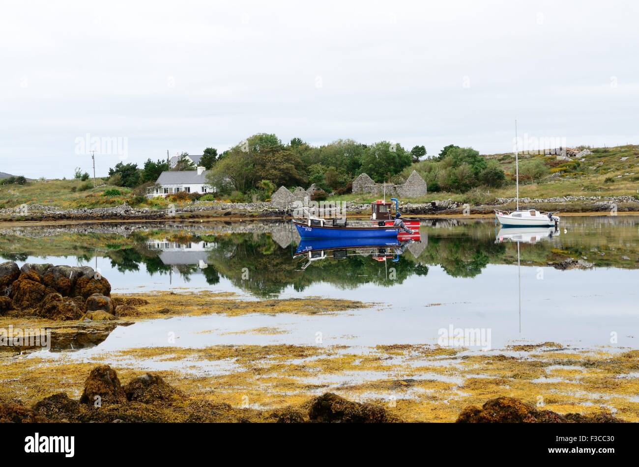 Angelboote/Fischerboote noch früh morgens Licht Inishnee Hafen Roundstone Connemara, County Galway, Irland Stockfoto