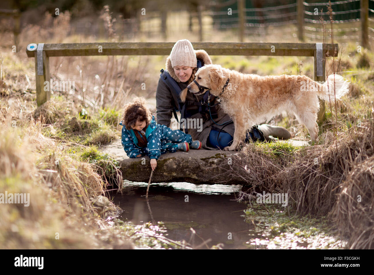 Mutter, Sohn und Hund spielen Poo Stöcke auf kleinen Brücke über einen Bach im Norden Grimston ist ein Dorf in North Yorkshire. Stockfoto