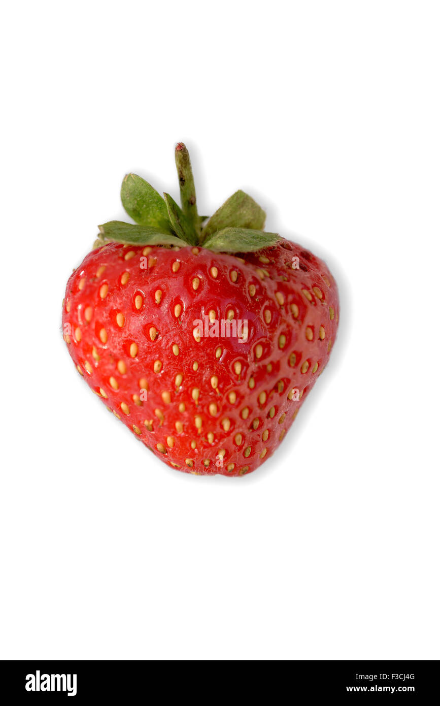 Englische Erdbeeren auf weißem Hintergrund. Stockfoto