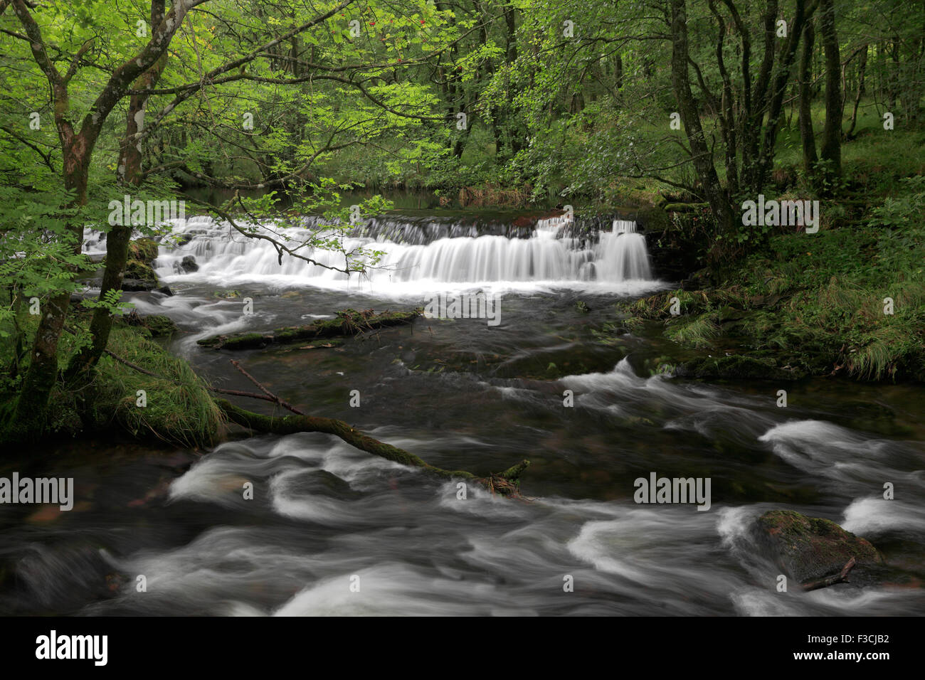 Colwith Force Wasserfälle auf dem Fluß Brathay bei Elterwater, wenig Langdale, Nationalpark Lake District, Cumbria, England Stockfoto