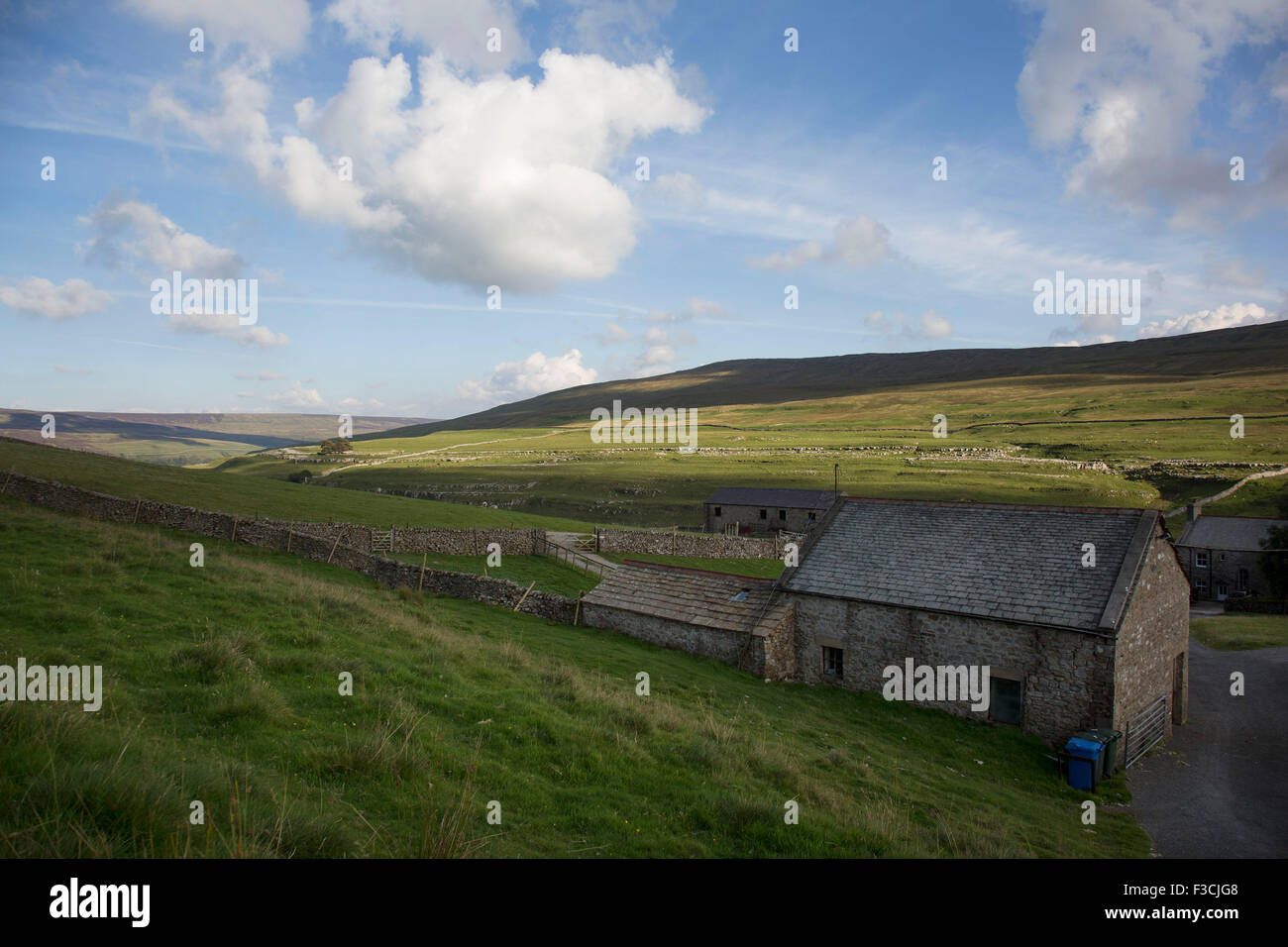 Littondale ist ein Yorkshire-Dale in Craven Bezirk North Yorkshire, England, Großbritannien. Bekannt für seine glatte, sanfte Hügel und traditionellen Bauernhäusern, die aus dem 17. Jahrhundert stammen. Stockfoto