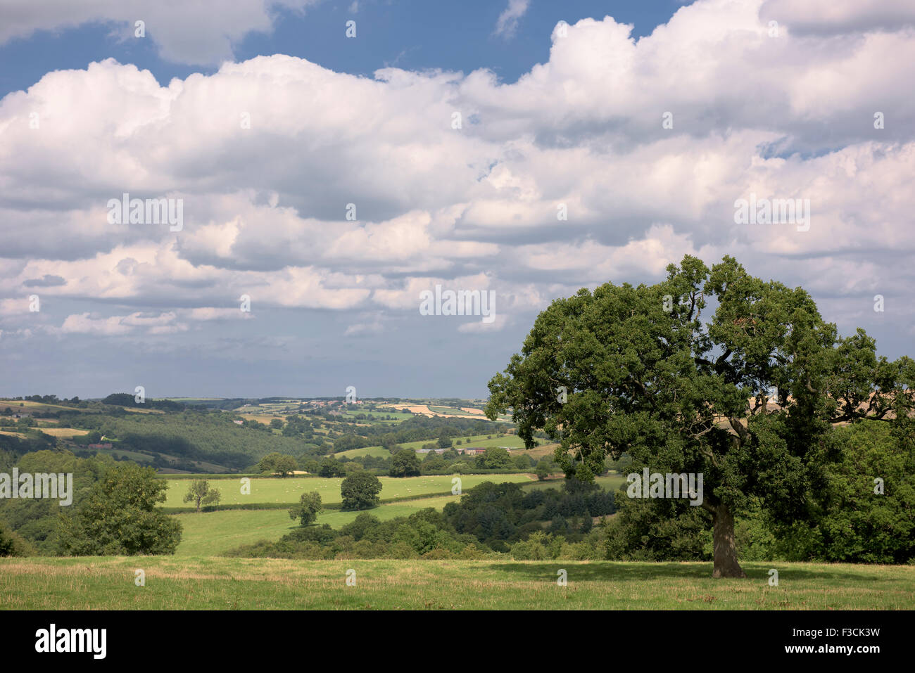 Blick von Goathland, über Eskdale in Richtung Egton, North Yorkshire. Stockfoto