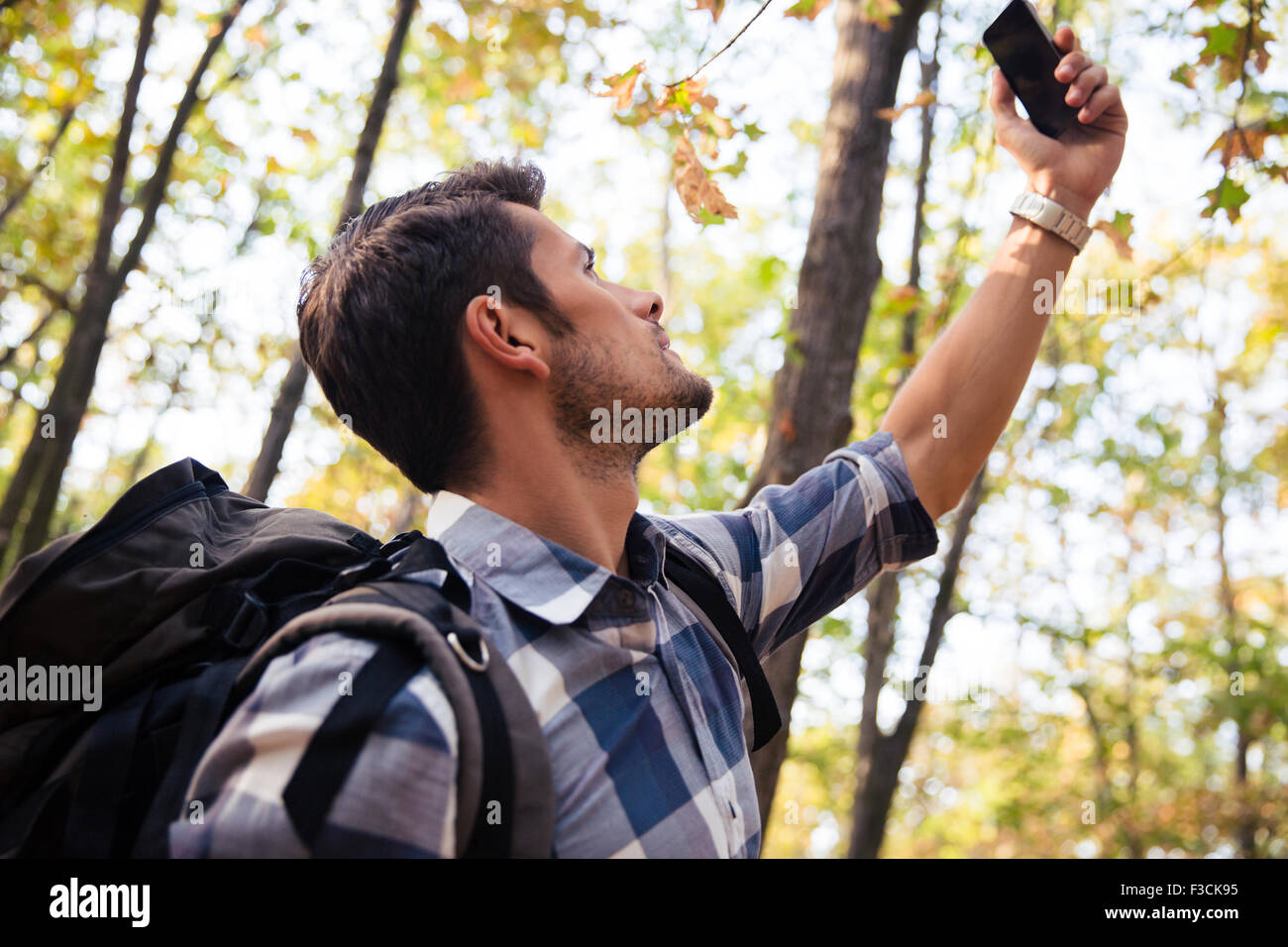 Porträt eines Mannes Suche Verbindung auf dem Telefon im Wald Stockfoto