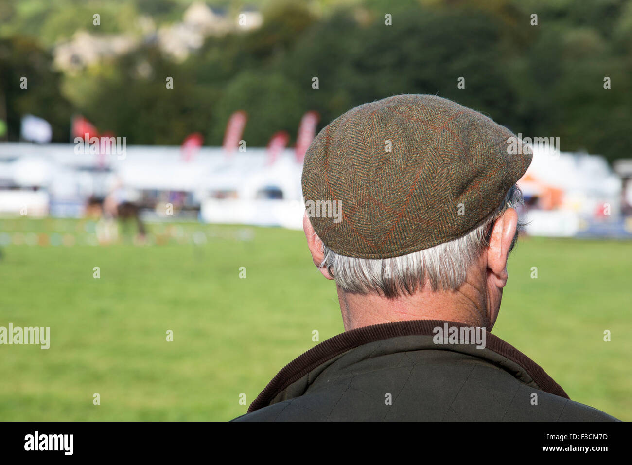 Menschen beobachten Ereignisse in der Hauptarena. "Pateley Show", ist wie die Nidderdale Show liebevoll genannt wird, eine traditionelle Dales Landwirtschaftsausstellung für die schönsten Tiere, Produkten und Kunsthandwerk in den Yorkshire Dales. Statt in der malerischen Umgebung der Bewerley Park, Pateley Brücke, gehört zu der Grafschaft Linie zeigt. Es zieht regelmäßig Massen von 17.000 und traditionell markiert das Ende der Agrarmesse-Saison. Stockfoto