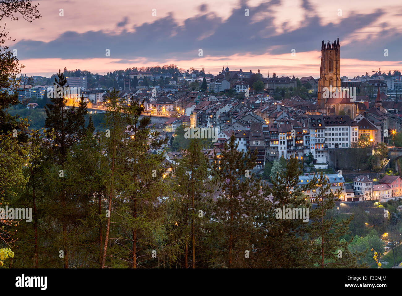 St.-Nikolaus-Kathedrale, Fribourg, Kanton Freiburg, Schweiz, Europa. Stockfoto