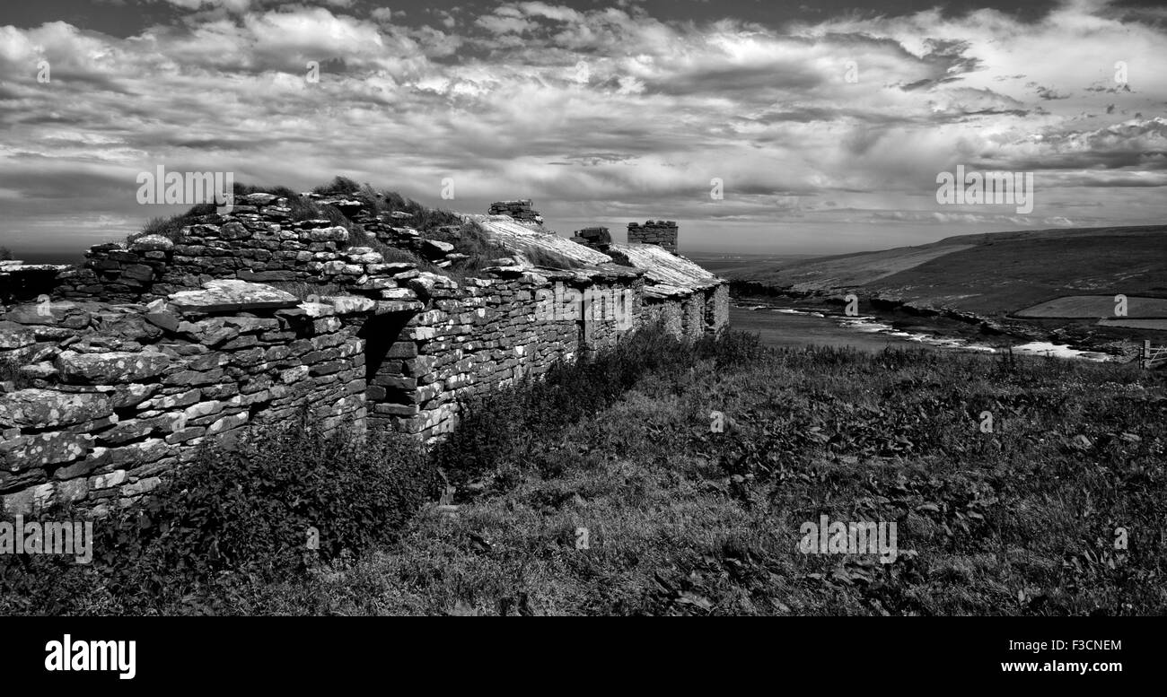 Eine verlassene Croft-Haus auf der Insel Westray, Orkney, Schottland Stockfoto