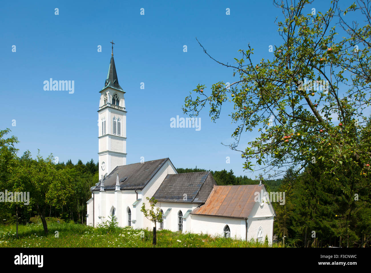 Österreich, Niederösterreich, Wallfahrtskirche Maria Steinparz Bei der Schallaburg Im Bezirk Melk Stockfoto