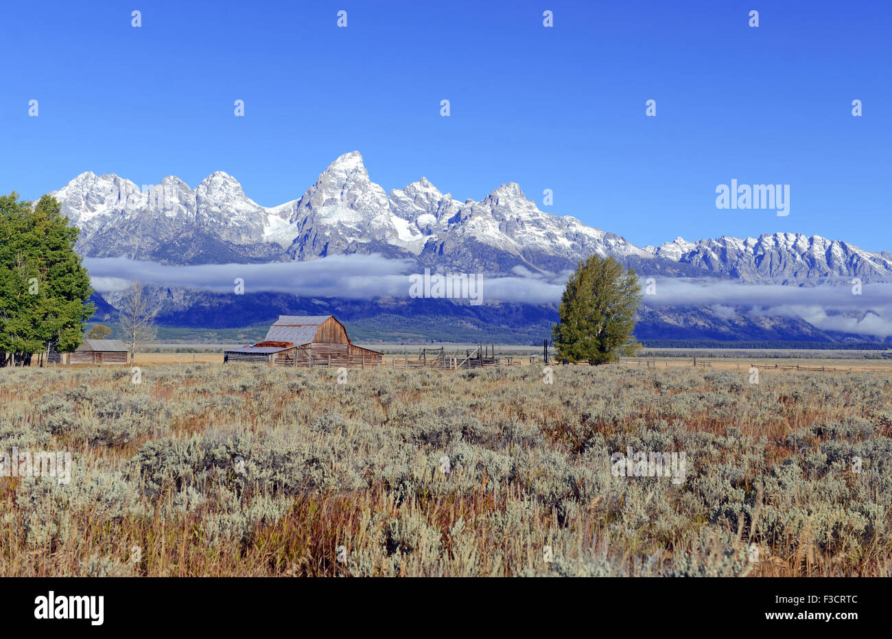 Grand Teton und die Teton Range, Grand-Teton-Nationalpark, Wyoming, USA Stockfoto