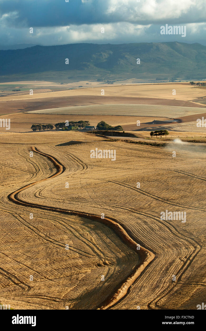 hügelige Ackerland in der Overberg Region in der Nähe von Villiersdorp, Western Cape, Südafrika Stockfoto