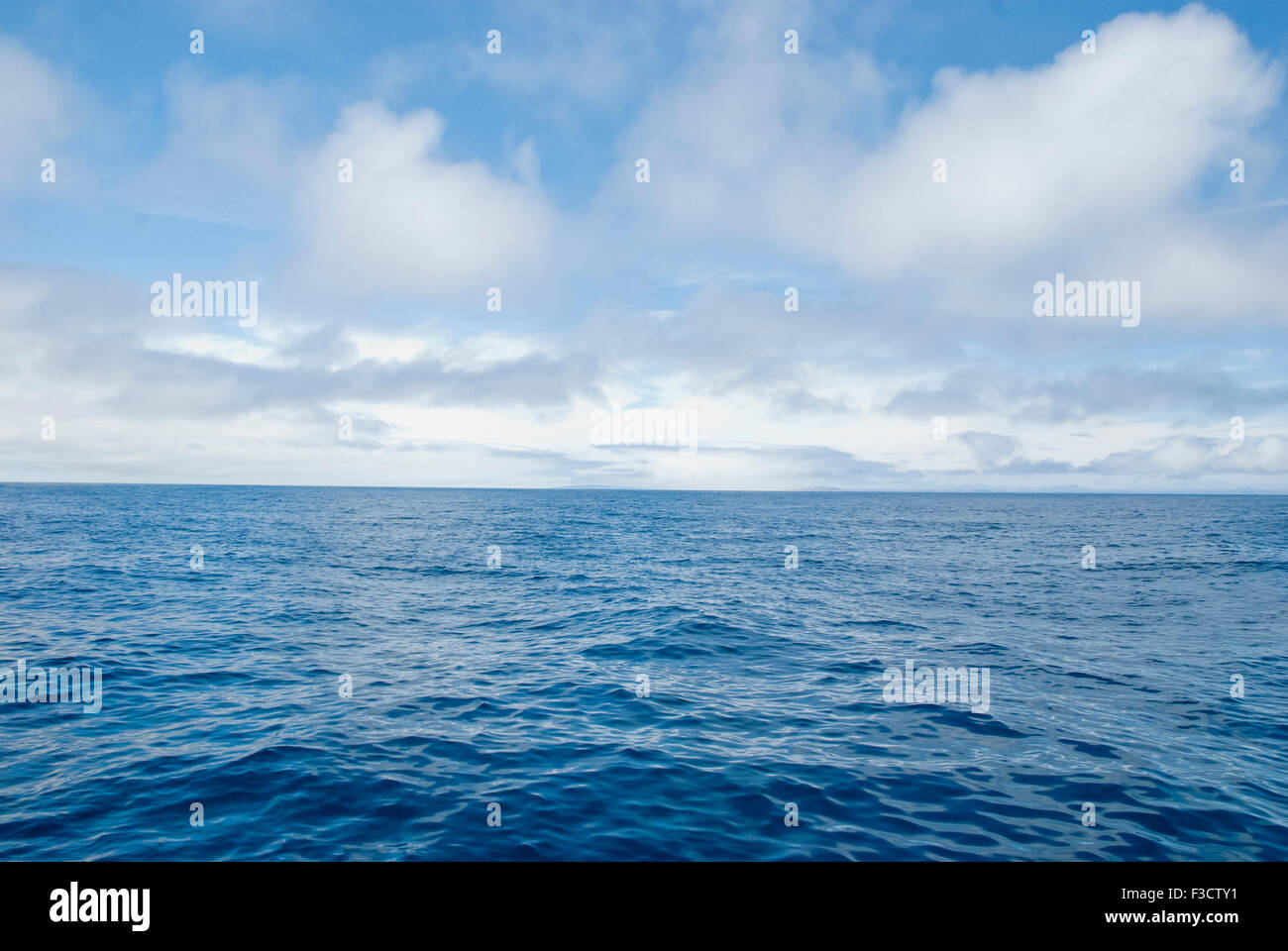 Wal-Jagd auf hoher See Stockfoto