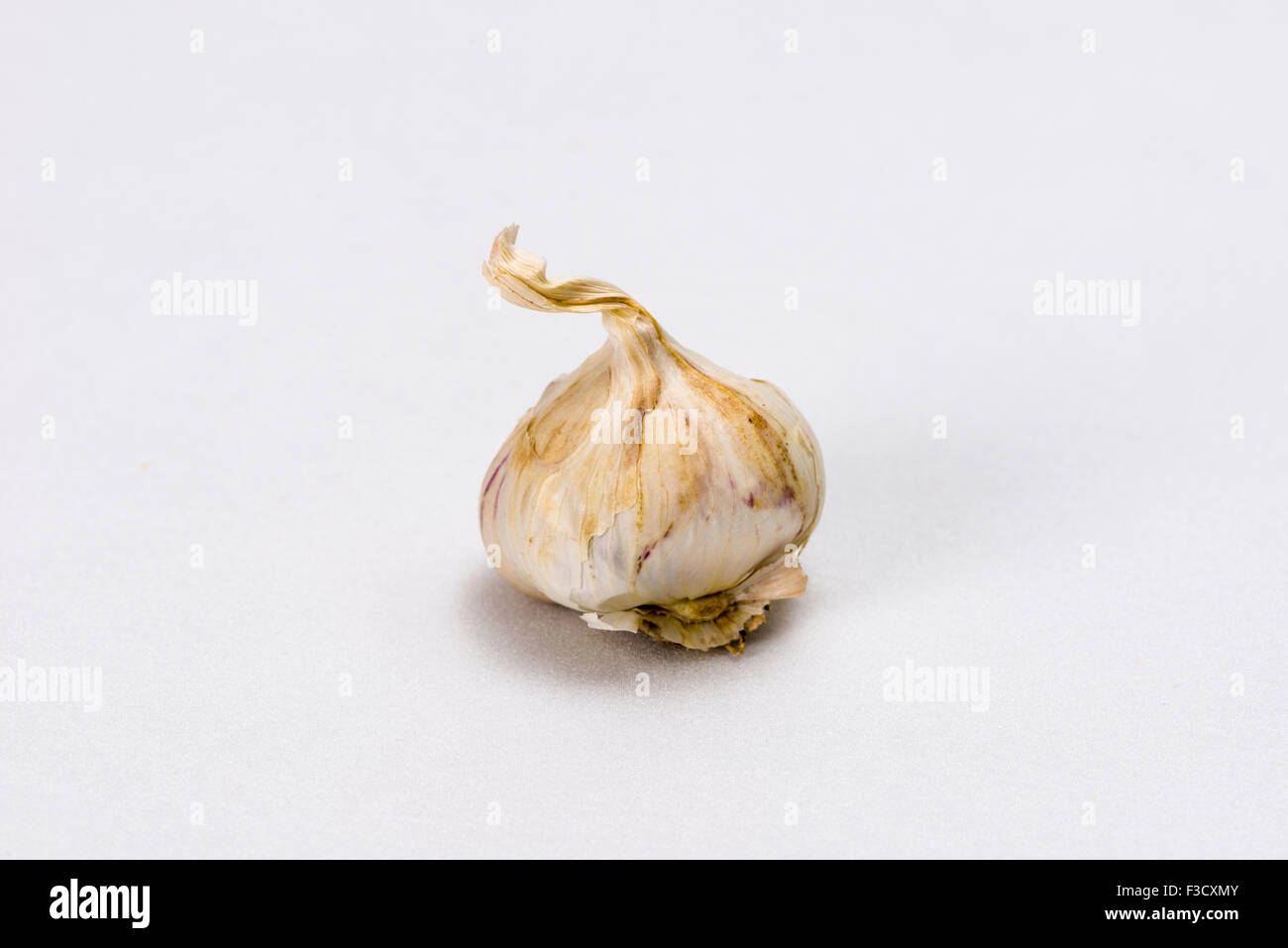 Eine Zwiebel Knoblauch (Allium sativum), auf weissem Tabelle angezeigt Stockfoto