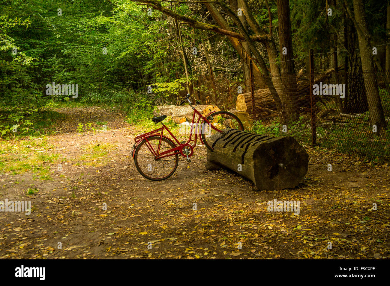 Der Białowieża-Nationalpark-Landschaften Stockfoto