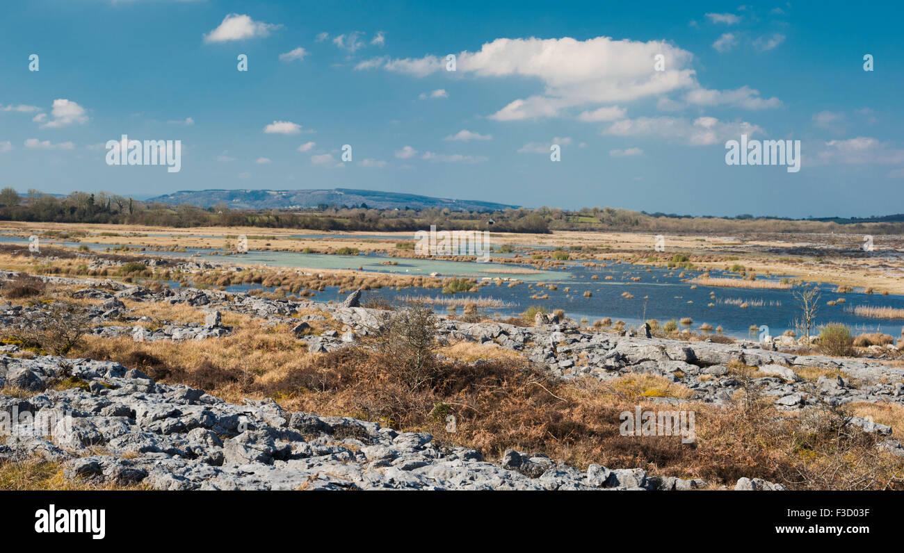 Blick nach Süden vom Gortlecka, Burren, County Clare, Irland Stockfoto