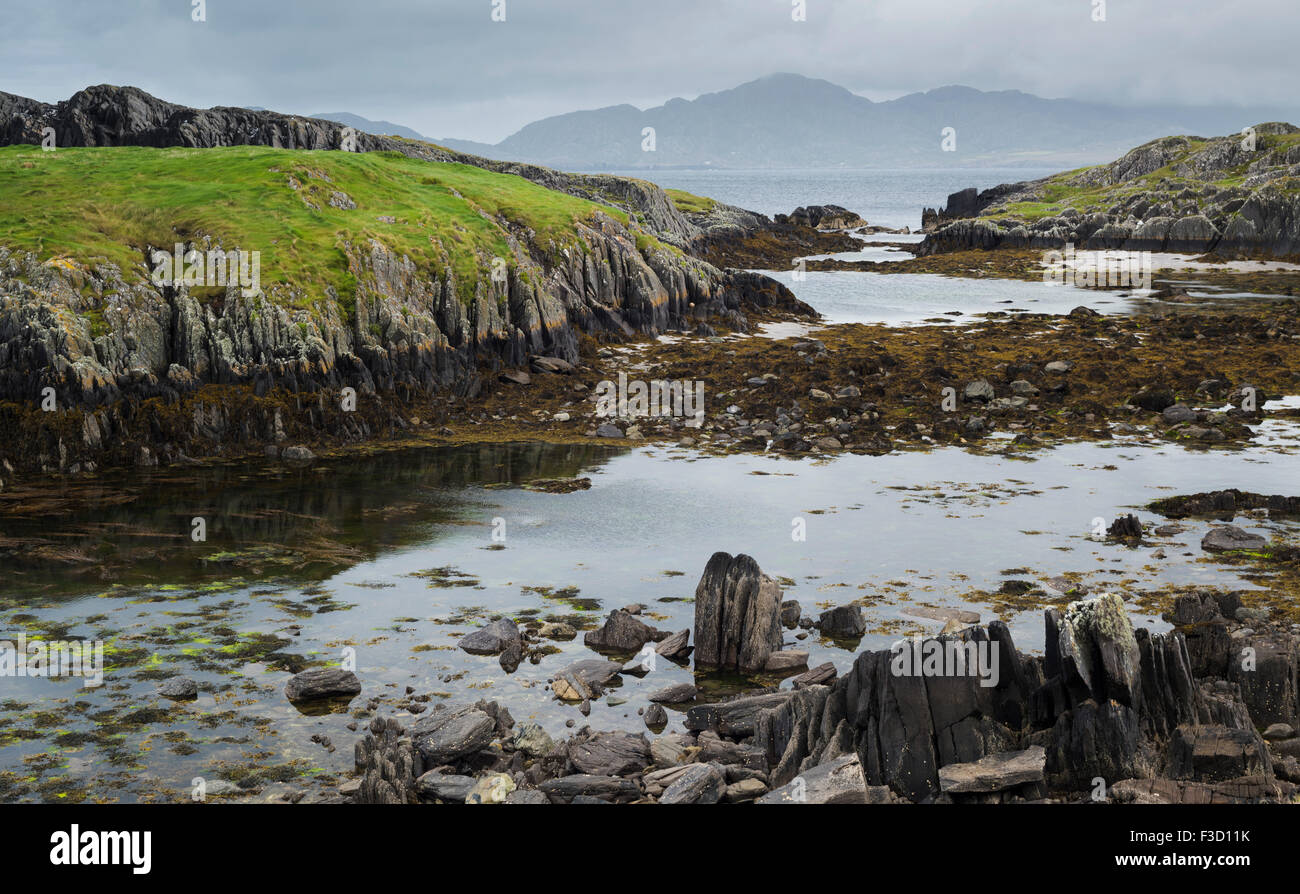 Blick von der Beara Way Wanderweg in Garinish über Ballydonegan Bucht in Richtung Allihies, Beara Halbinsel, County Cork, Irland Stockfoto