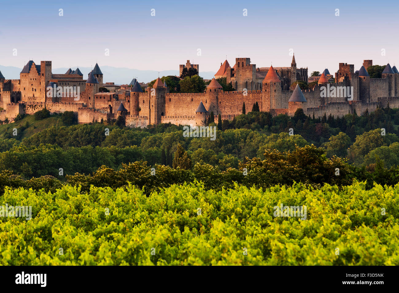 Weinberge mittelalterliche befestigte Festung Wand Schloss Sonnenuntergang Carcassonne Aude Languedoc Rosellón Frankreich Europa Stockfoto