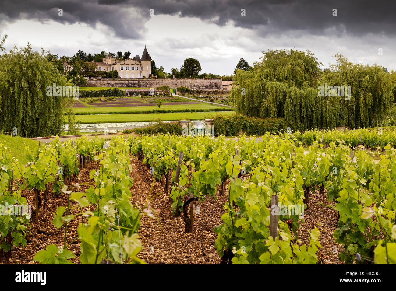 Weinkeller Chateau Lafite Rothschild Medoc Weinberge Bordeaux Gironde Aquitaine Frankreich Europa Stockfoto