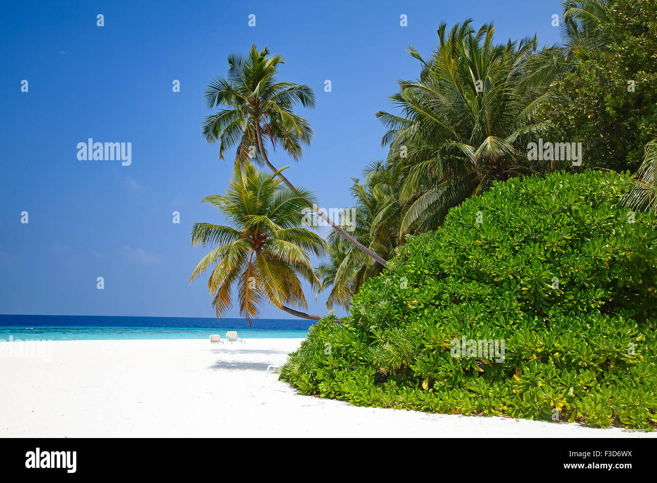 Malediven Insel. Paradies in den Tropen. Stockfoto