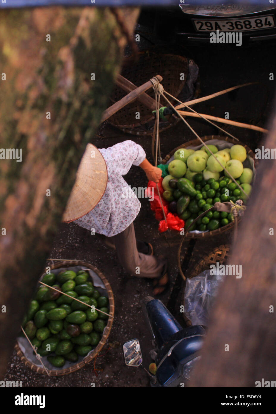 Vietnamesische Frau bereitet sich auf einen Tag Avocados auf den Straßen von Hanoi, Long Bien Markt zu verkaufen Stockfoto