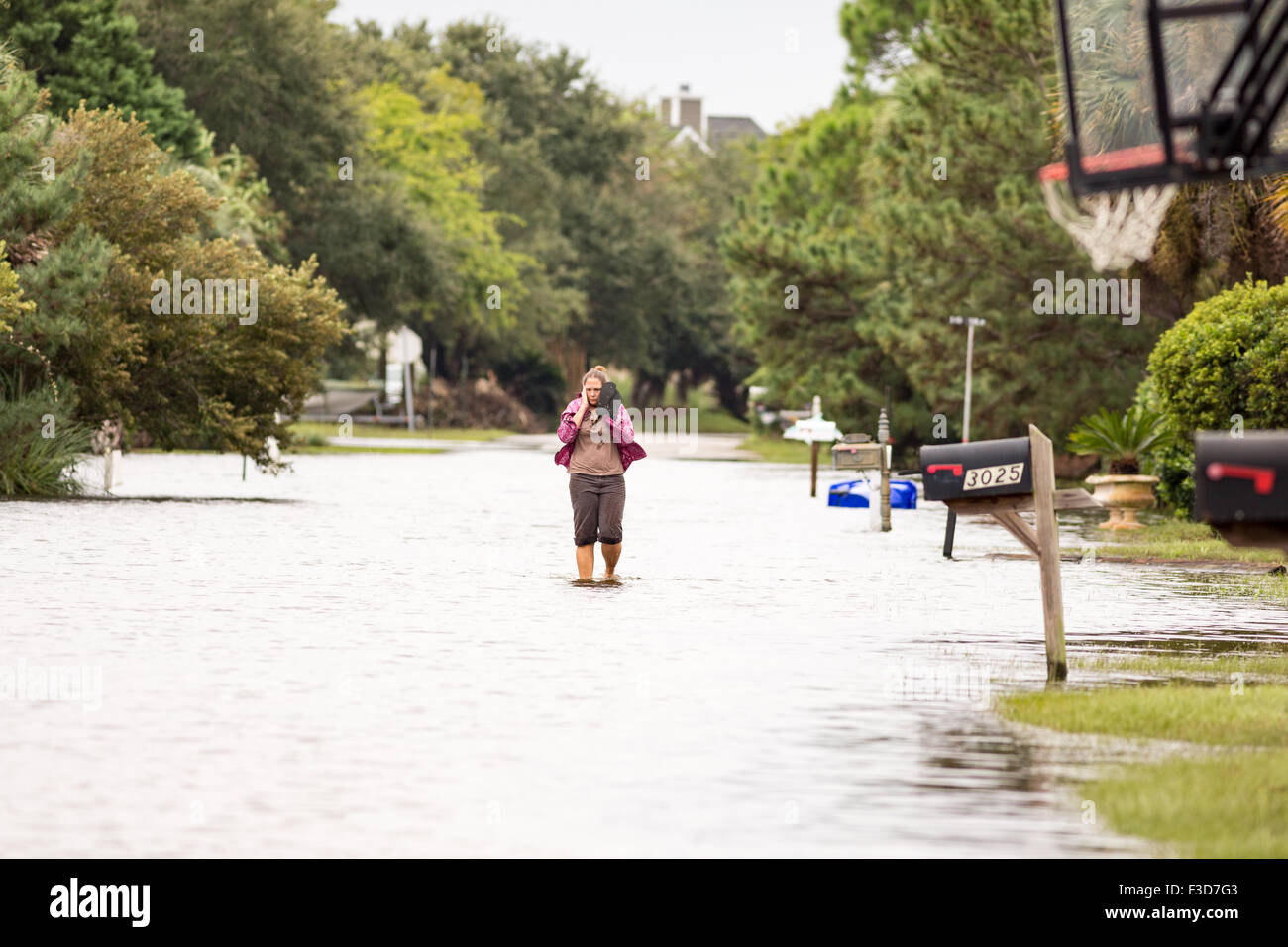 Charleston, South Carolina, USA. 5. Oktober 2015. Ein Bewohner geht durch Hochwasser in der malerischen Strand Gemeinschaft von Sullivans Island als Freak Regenstürme die Region mit mehr als 28-Zoll Regen in den letzten drei Tagen 5. Oktober 2015 in Charleston, South Carolina durchnässt. Bildnachweis: Planetpix/Alamy Live-Nachrichten Stockfoto