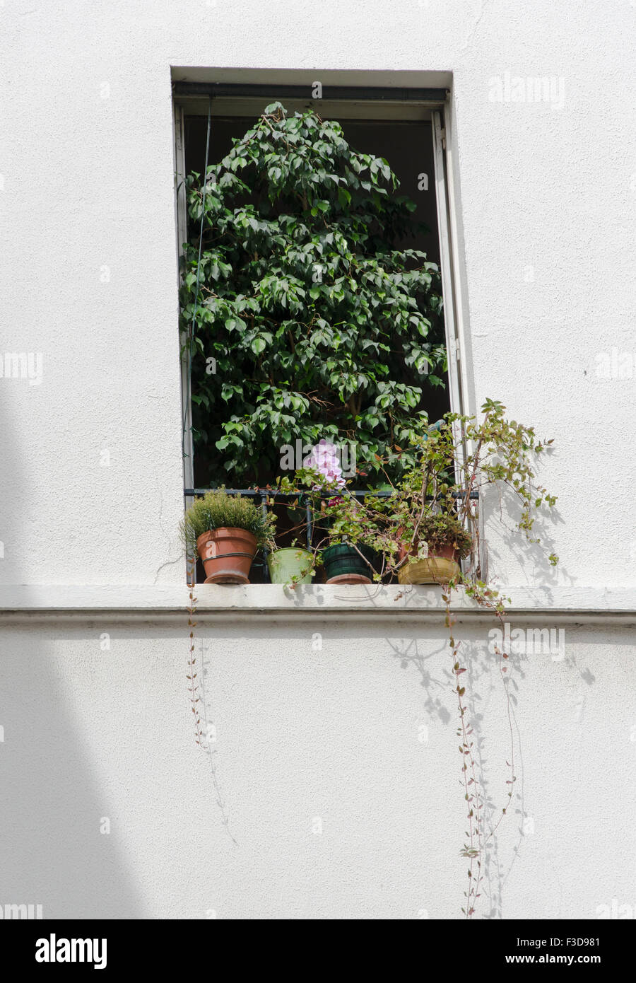 Fassade eines offenen Fensters mit Werken in Paris Stockfoto