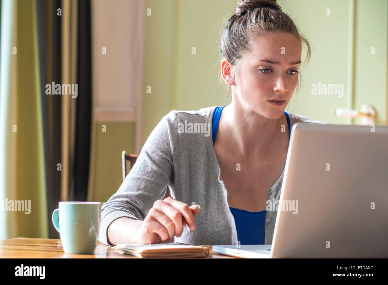 Junge Frau auf ihrem Laptop zu Hause arbeiten Stockfoto