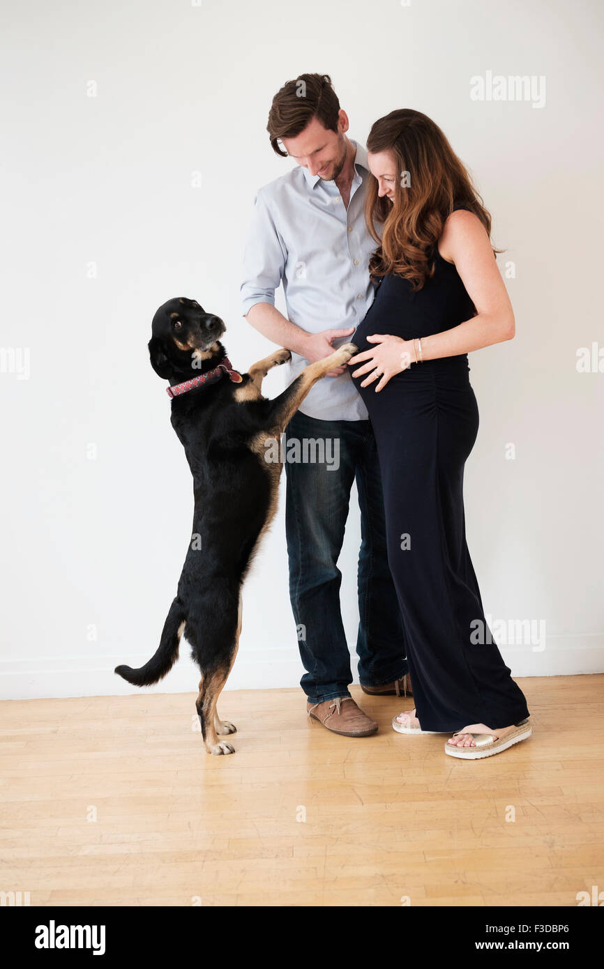Porträt des Paares mit Hund Stockfoto
