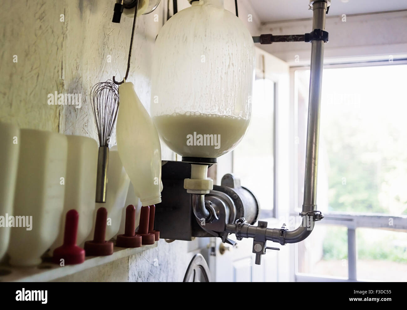 Milch in Melkmaschine Stockfoto