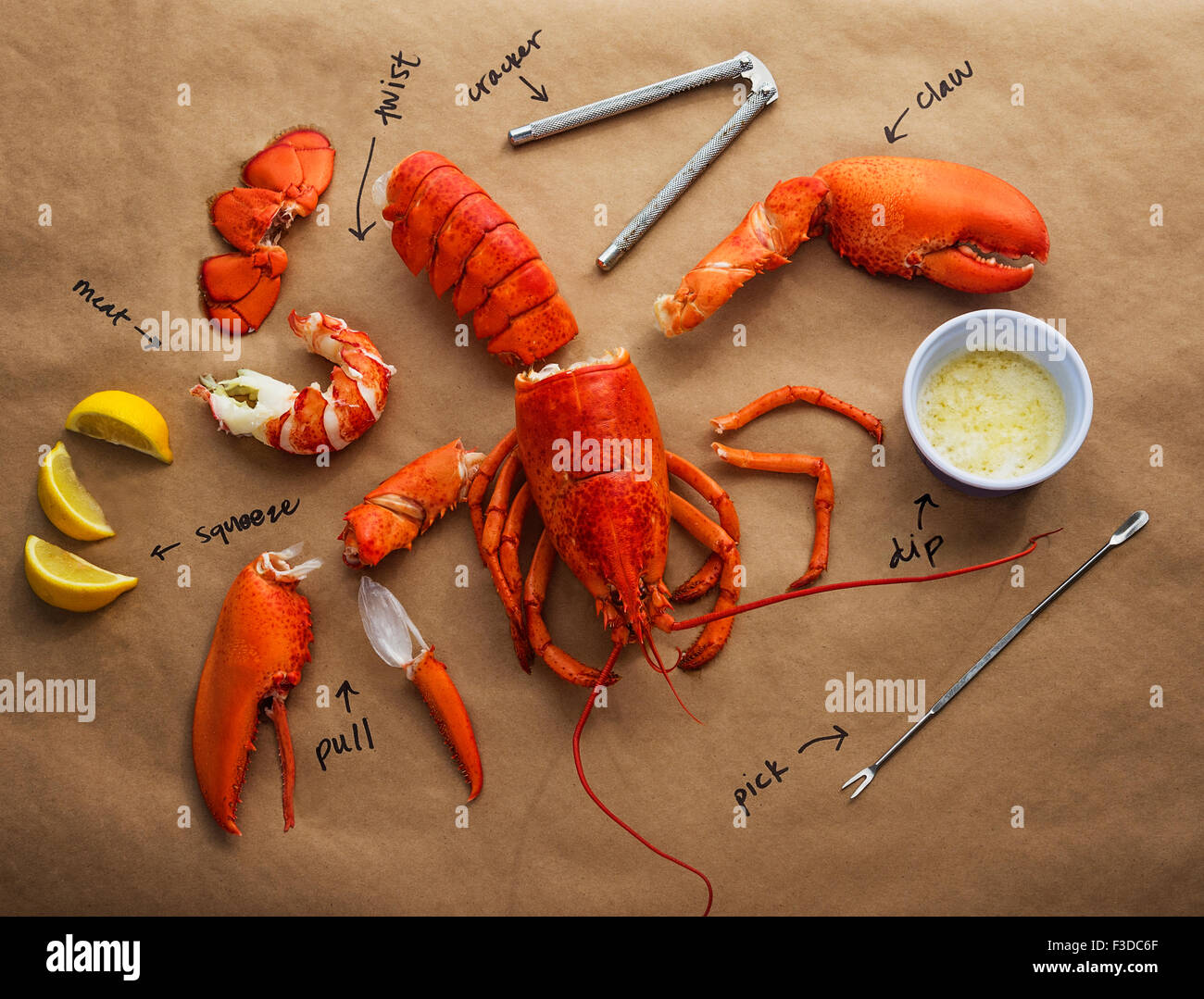 Wie man Hummer Anweisungen zu essen Stockfoto