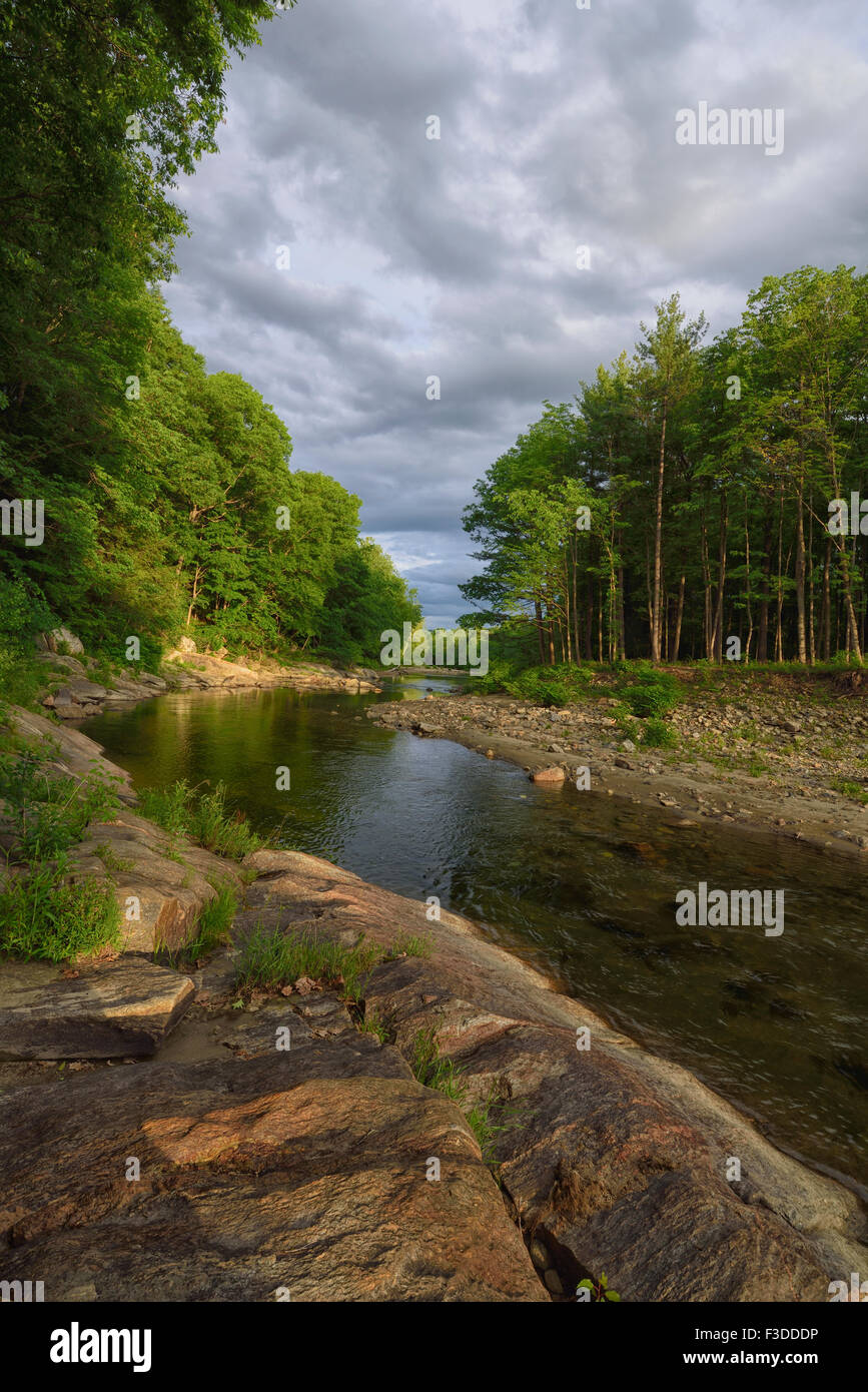 Blick auf Williams River Stockfoto