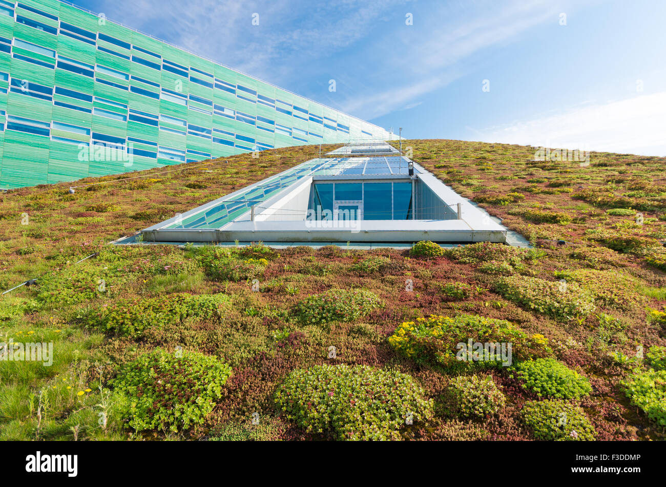 modernes Gebäude mit Dach bedeckt mit Gras- und Moos Stockfoto