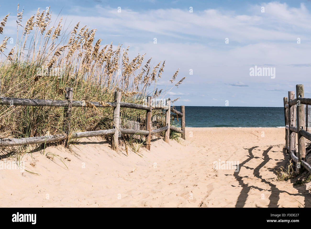 Weg zum Strand mit Holzzaun auf Sandbridge. Stockfoto