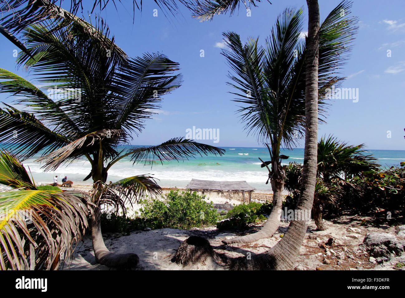 Quintana Roo, Quintana Roo Estado de México. 5. Oktober 2015. Menschen sauber Strand in Tulum, Quintana Roo Zustand von Mexiko, 5. Oktober 2015. Die Strände von Cancun und Tulum wurden als Mexico und Central America führenden Badeort 2015 bei den World Travel Awards nominiert. © Francisco Galvez/NOTIMEX/Xinhua/Alamy Live-Nachrichten Stockfoto