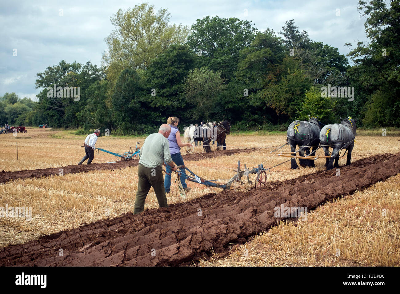 Das Pflügen Spiel Stockfoto