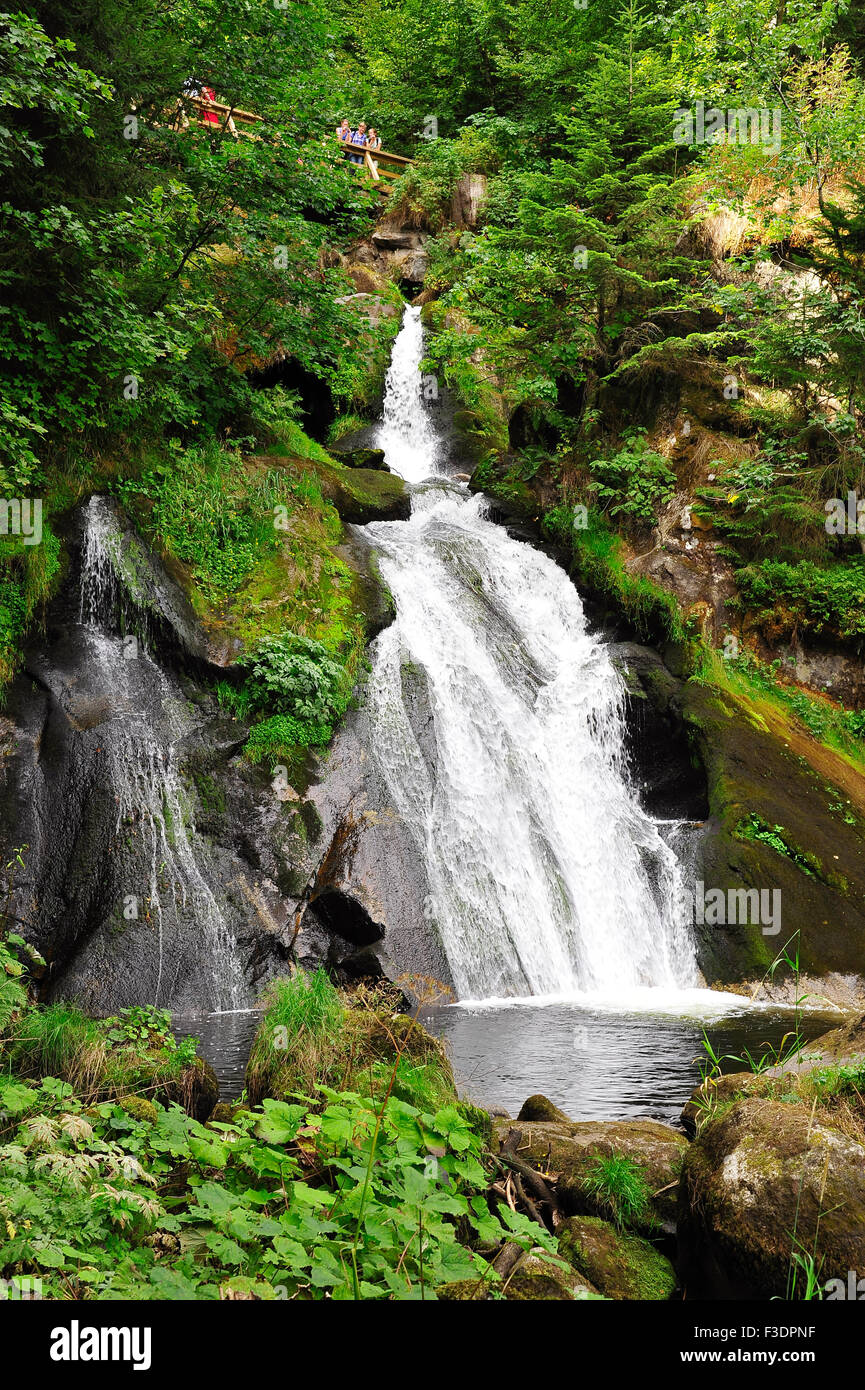 Triberger Wasserfälle, Triberg, Baden-Württemberg, Deutschland Stockfoto