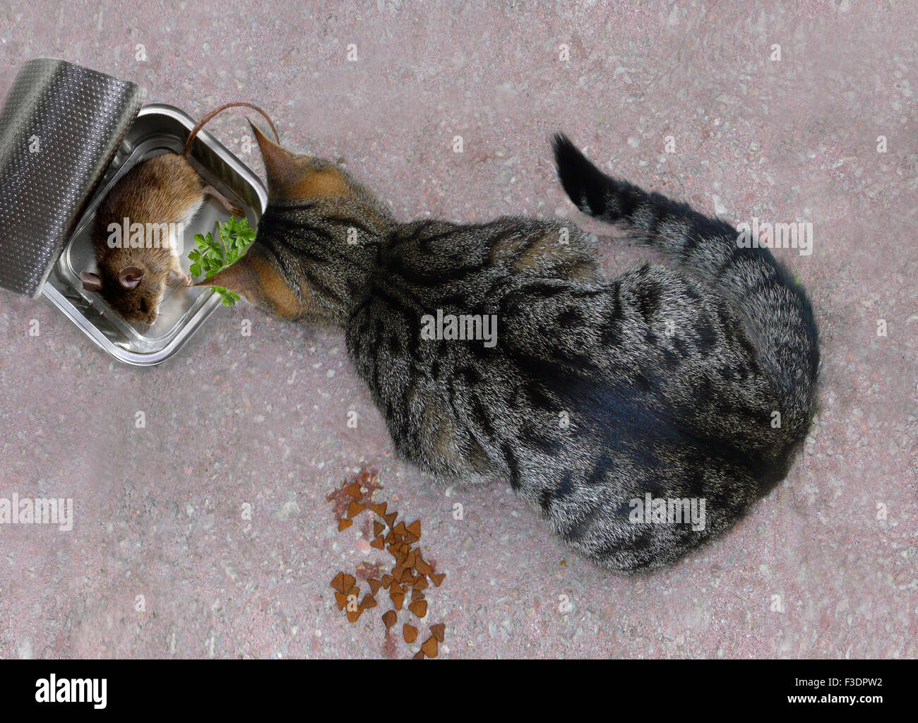 Katze sitzt vor toten Maus, Katzenfutter, Deutschland Stockfotografie -  Alamy
