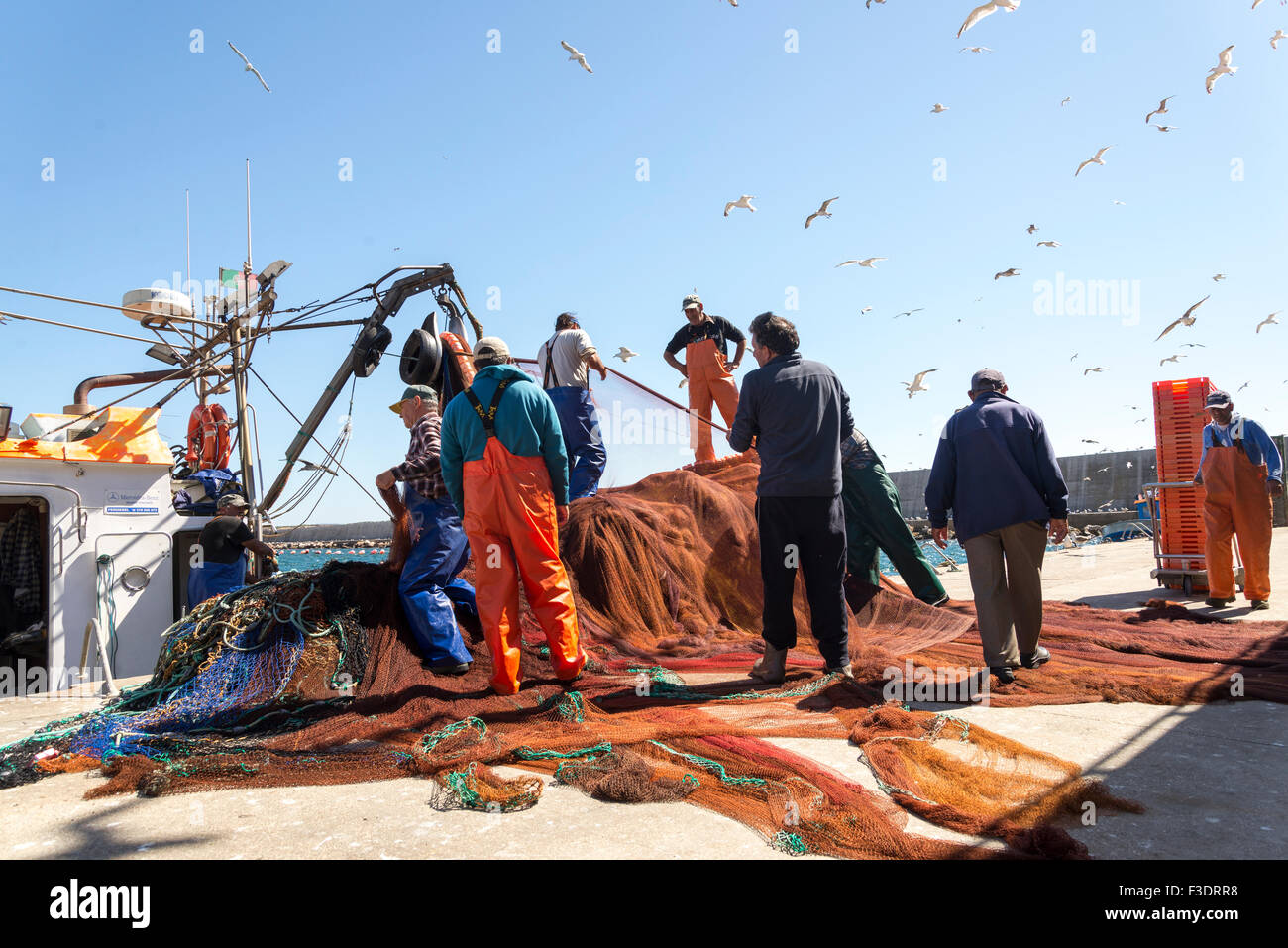 Angelboot/Fischerboot mit Fischern aussortieren die Netze mit Möwen fliegen overhead, Portugal angedockt Stockfoto