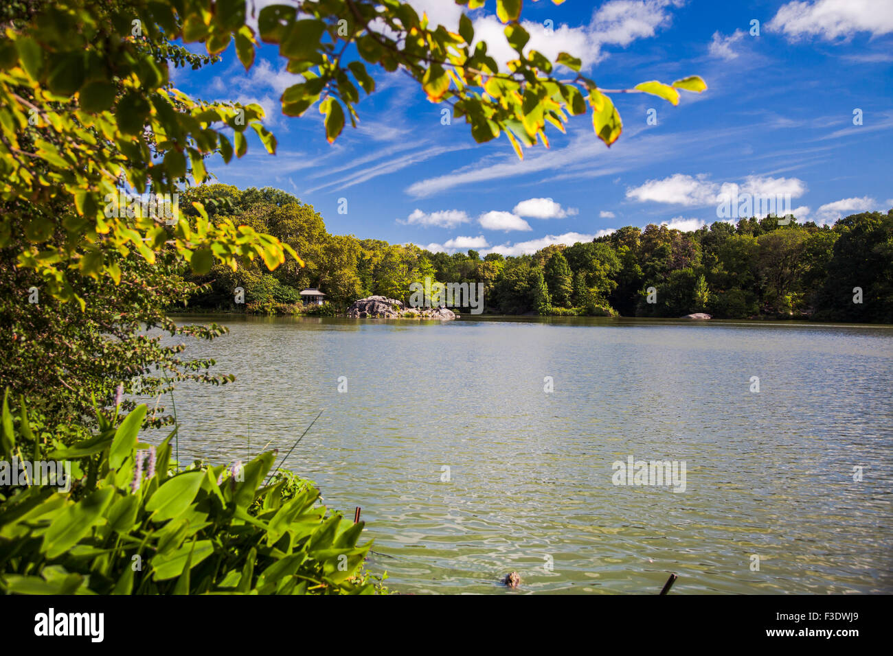 Central Park New York City Stockfoto