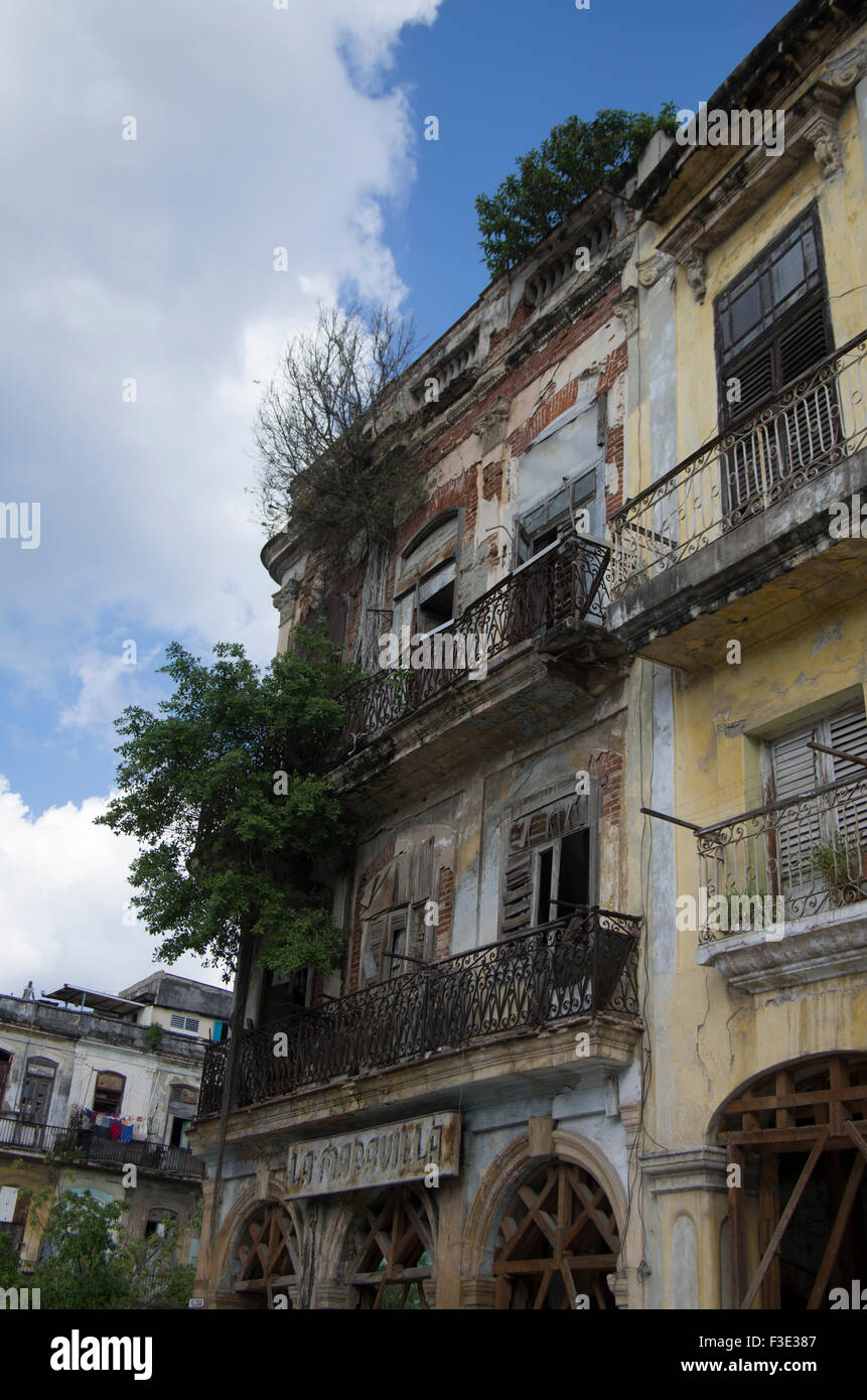 La Maravilla, die wunderbare, ruiniert massive Bausubstanz in der Innenstadt von Havanna, Republik Kuba, bald zu renovieren. Stockfoto